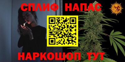 прущие грибы Лесосибирск