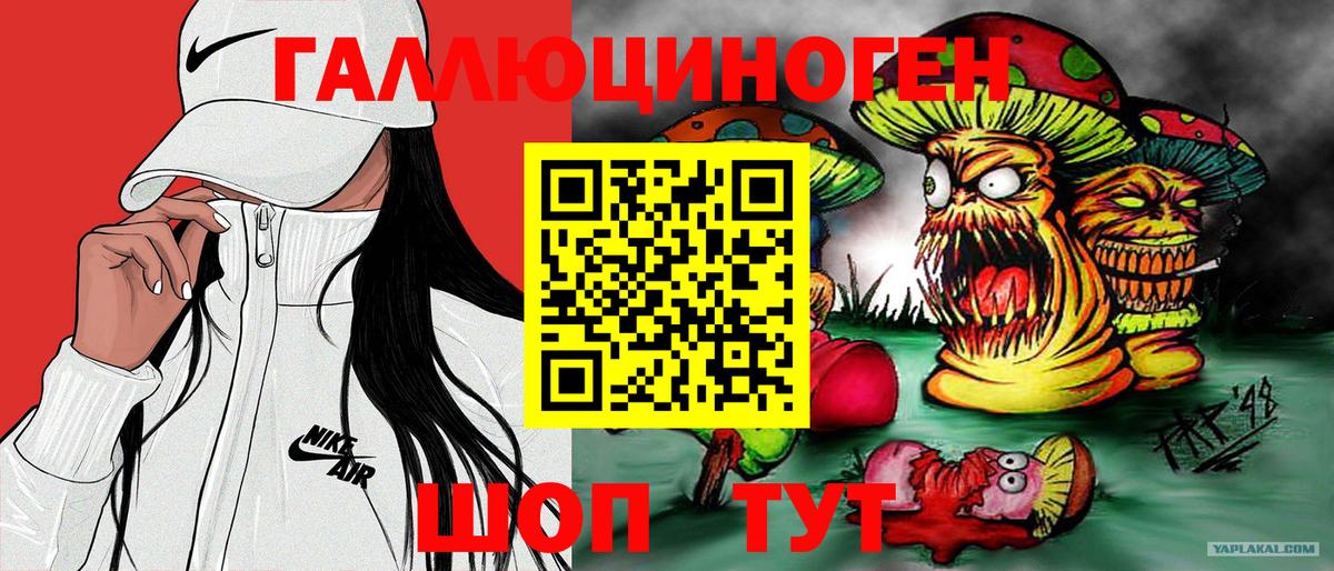 Дзержинск  Псилоцибиновые грибы MAGIC MUSHROOMS  купить наркотики сайты  Вход с VPN  Галлюциногенные грибы Magic Shrooms 